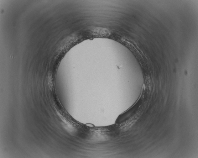 X0000081460564200702021810