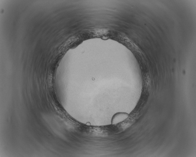 X0000081460565200702021810