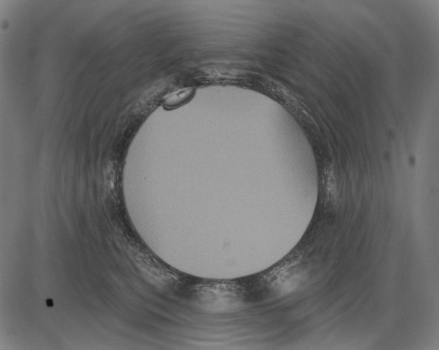 X0000081460567200702021810