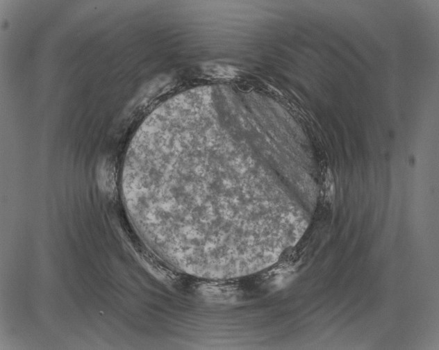 X0000081460568200702021810