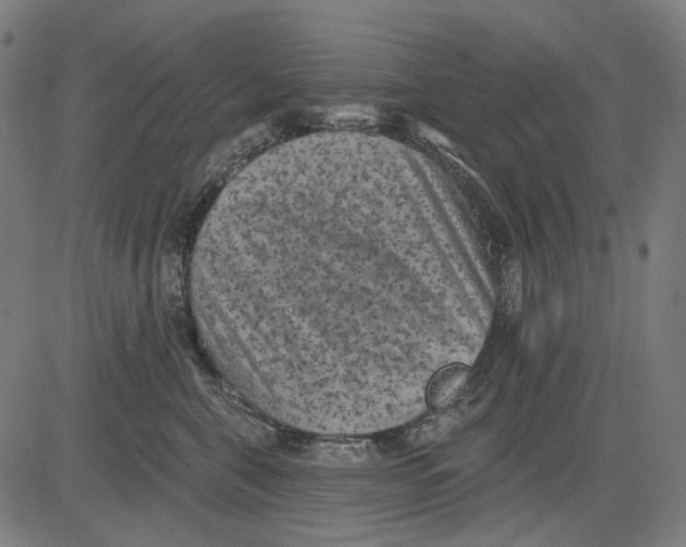 X0000081460571200702021810