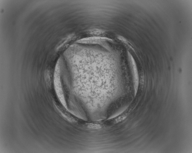 X0000081460572200702021810