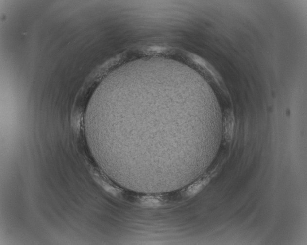 X0000081460574200702021810