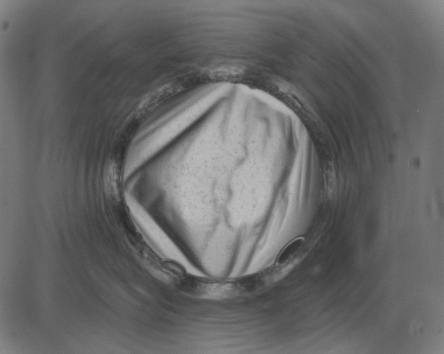 X0000081460575200702021810