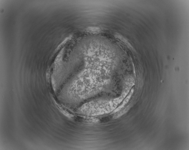 X0000081460576200702021810