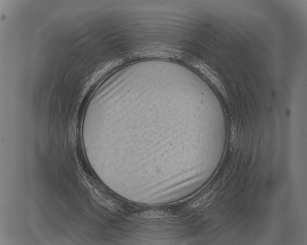 X0000081460578200702021810