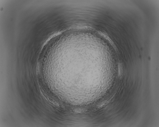 X0000081460579200702021809