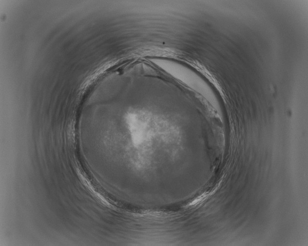 X0000081460581200702021809