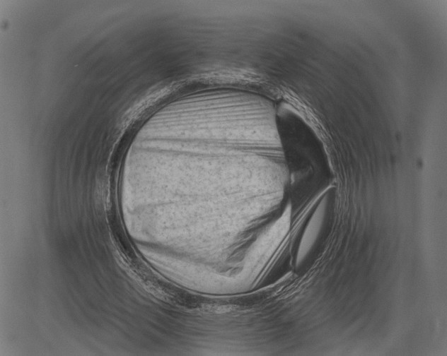 X0000081460582200702021809