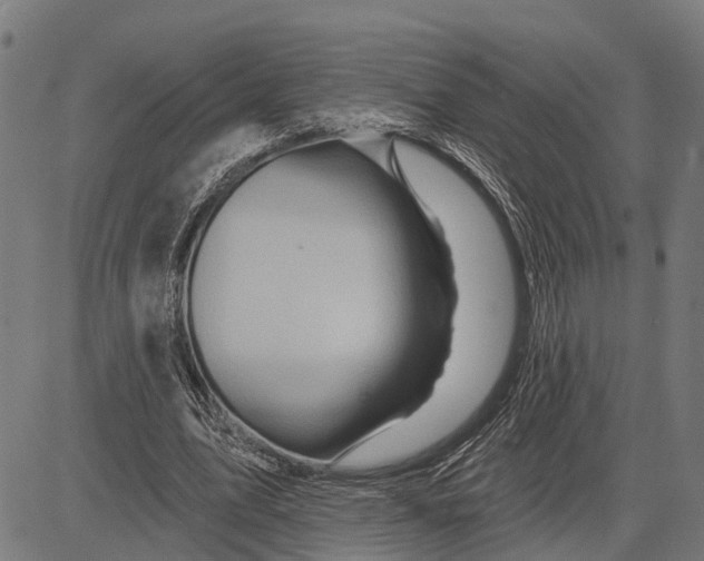 X0000081460583200702021809