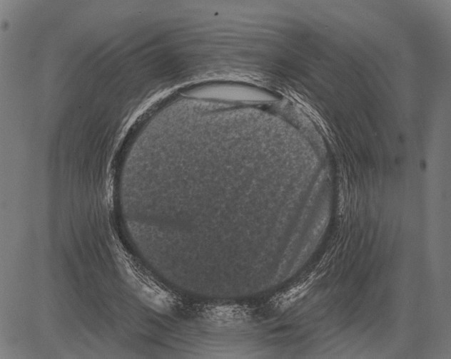 X0000081460584200702021809