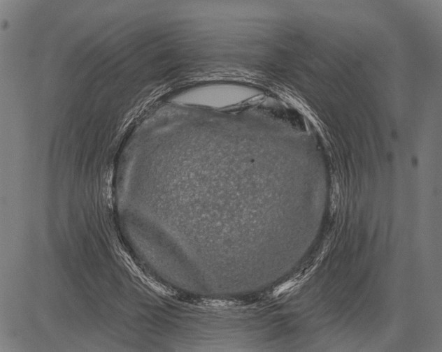 X0000081460585200702021809