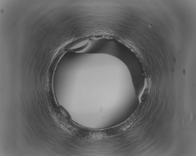 X0000081460587200702021809