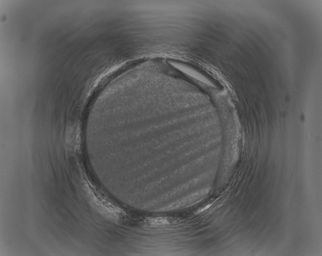 X0000081460588200702021809