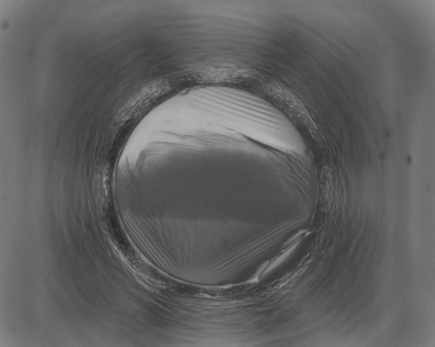 X0000081460590200702021809