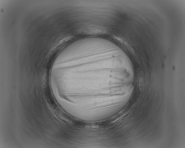 X0000081460591200702021809