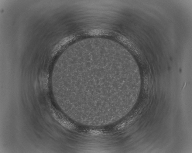 X0000081460592200702021809