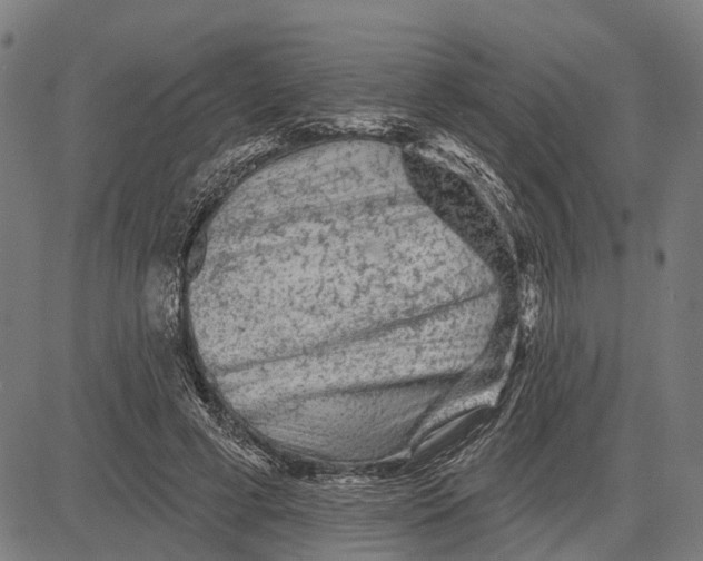 X0000081460593200702021809