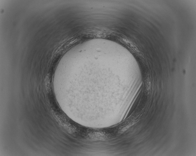 X0000081460594200702021809