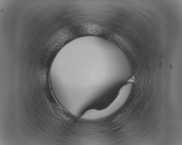 X0000081460595200702021809