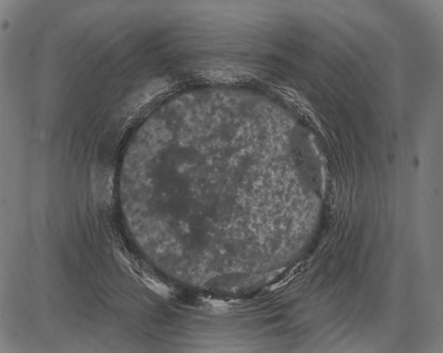 X0000081460596200702021809