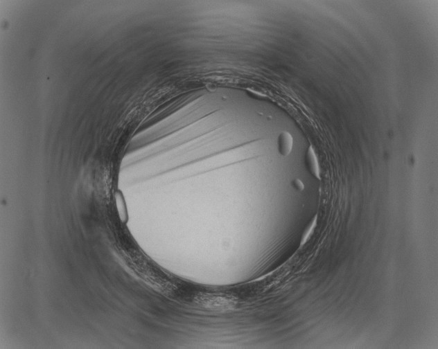 X0000081460597200702021809