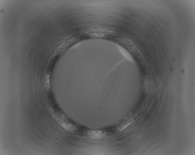 X0000081460598200702021809