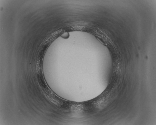 X0000081460599200702021809