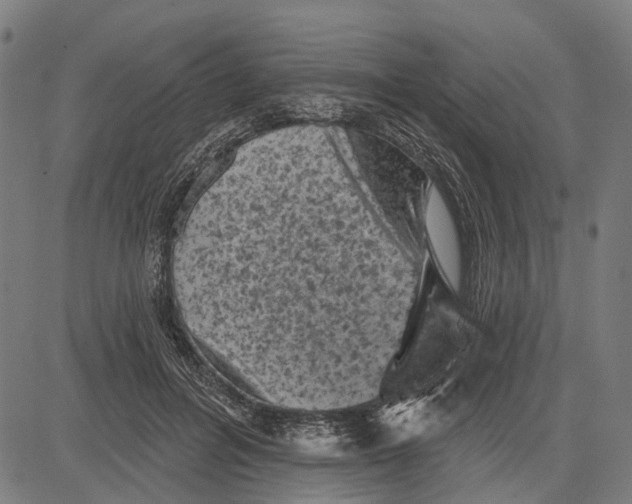 X0000081460600200702021809