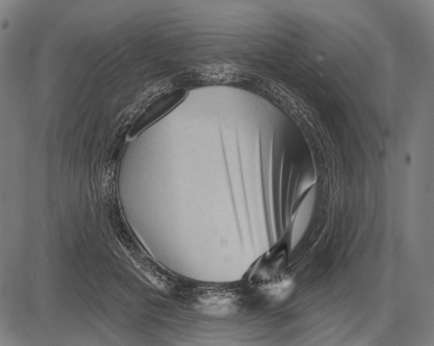 X0000081460601200702021809