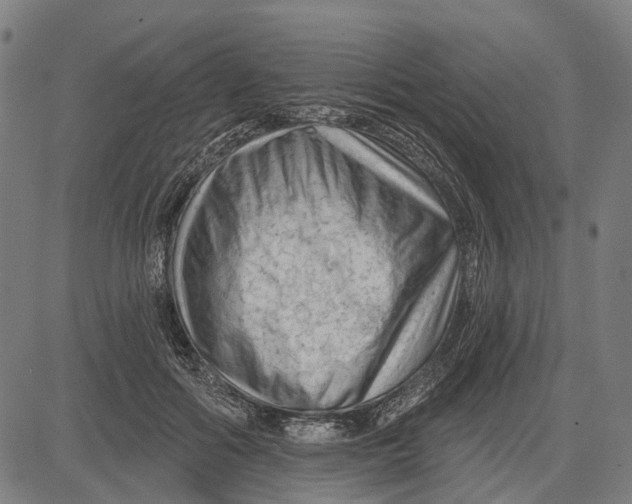 X0000081460602200702021809
