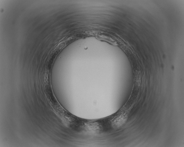 X0000081460603200702021809