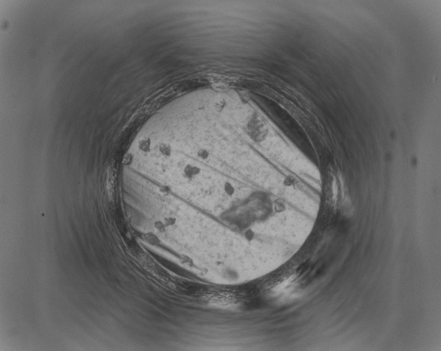 X0000081460604200702021809