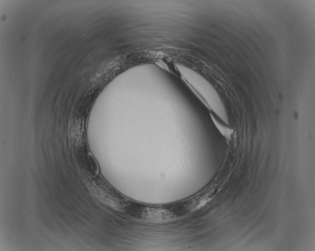 X0000081460605200702021809