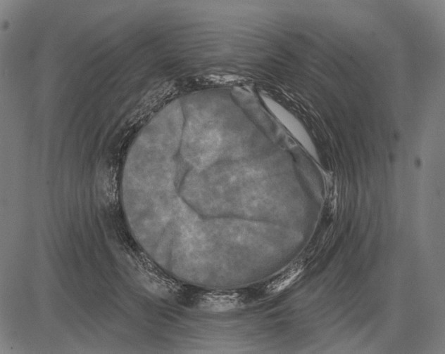 X0000081460606200702021809