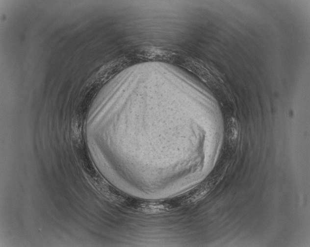 X0000081460607200702021809