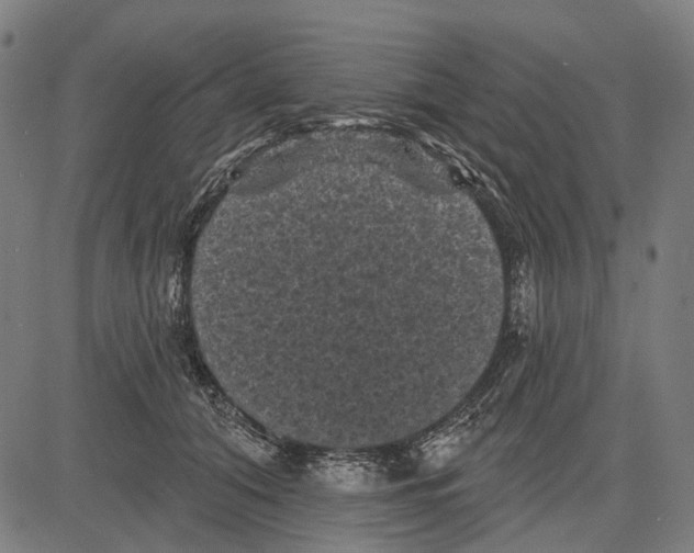 X0000081460608200702021809