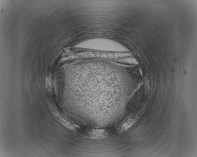 X0000081460609200702021809