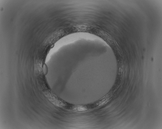 X0000081460610200702021809