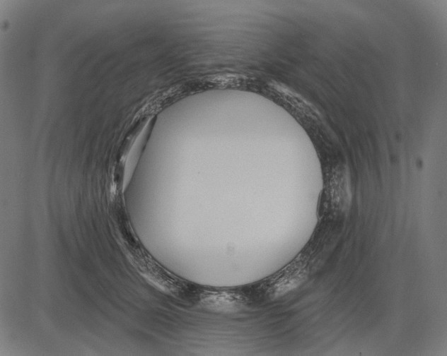 X0000081460611200702021809