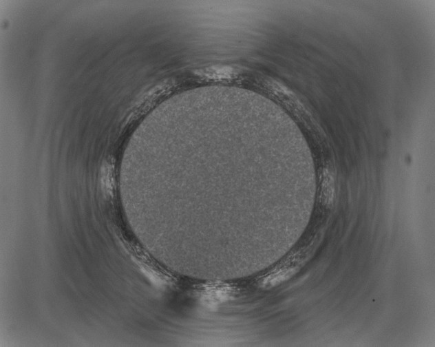 X0000081460612200702021809