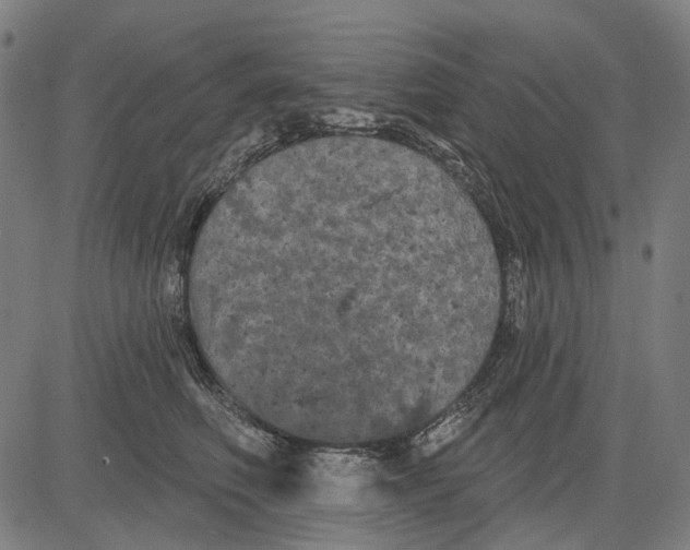 X0000081460614200702021809