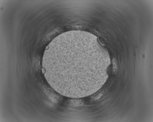 X0000081460615200702021809