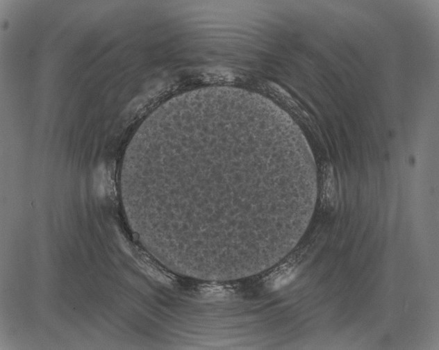 X0000081460616200702021809