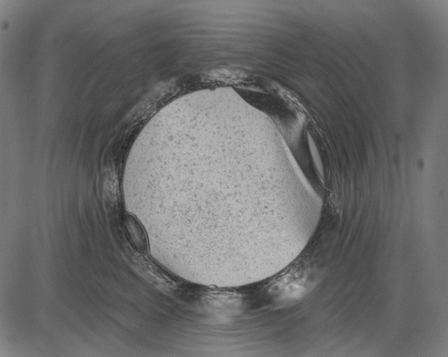 X0000081460617200702021809