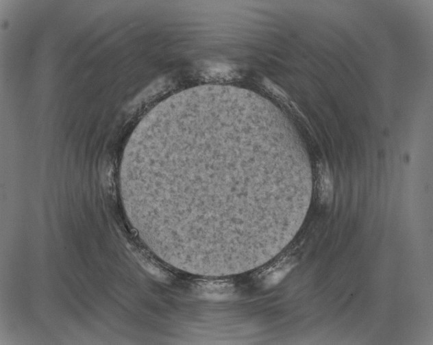 X0000081460619200702021809