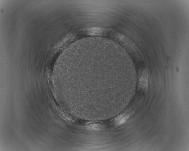 X0000081460620200702021809