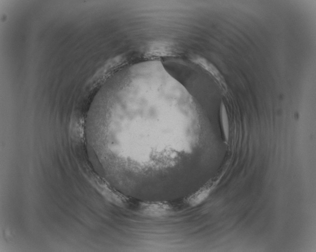 X0000081460621200702021809