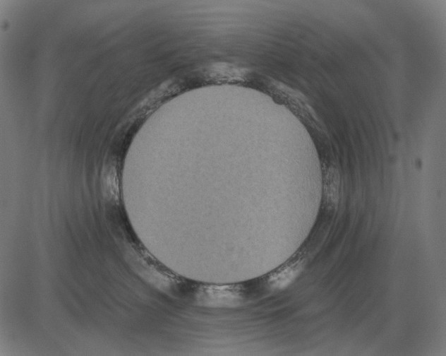 X0000081460622200702021809