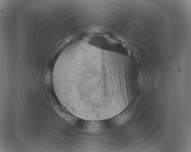 X0000081460623200702021809